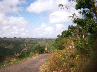 Photo of narrow country road on the way to Nine Mile goes here.