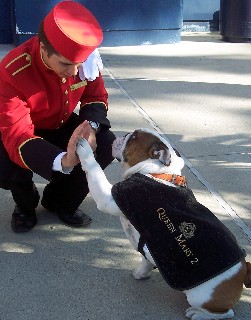 Photo of QM2 dog mascot and handler goes here.