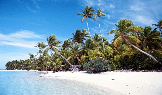 Photo of Tobago goes here.