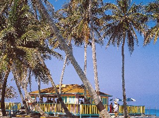 Photo of Great Stirrup Cay goes here.