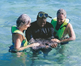 Photo of snorkelers with sting ray at Half Moon Cay goes here.