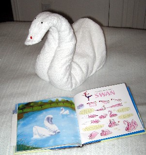 Photo of a swan goes here.