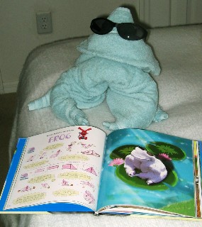 Photo of frog goes here.