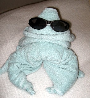 Photo of frog goes here.