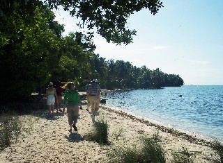 Photo of beach goes here.