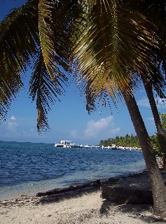 Photo of the beach area just off the walking path goes here.