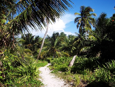 Photo of island interior goes here.