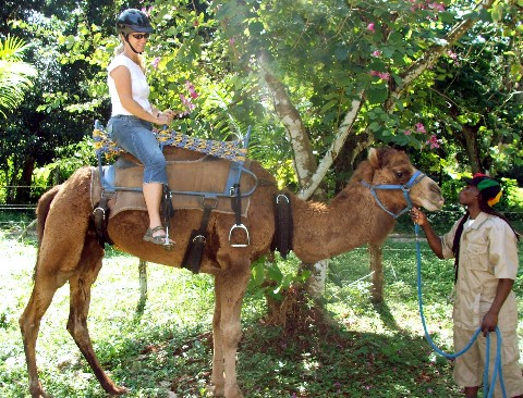 Photo of camel trek goes here.