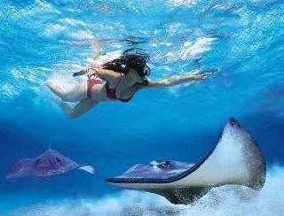 Photo of snorkeling with rays in Grand Cayman goes here.