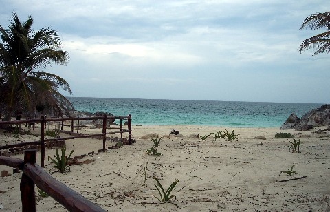 Photo of the cove area goes here.