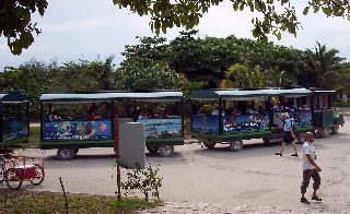 Photo of the Tulum tram goes here. 