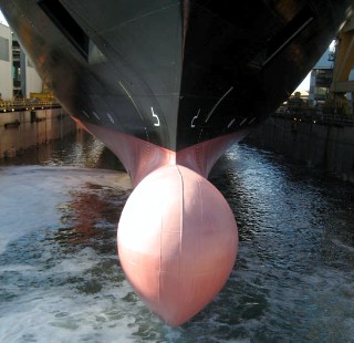 Photo of Eurodam goes here.