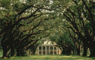 Photo of Oak Alley Plantation goes here.*