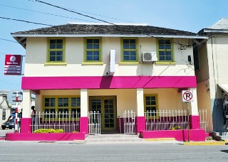 Photo of pink building goes here.